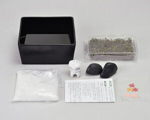 苔日和スナゴケ栽培キット苔庭園栽培セット観葉植物ガーデニング聖新陶芸ギフトプレゼント