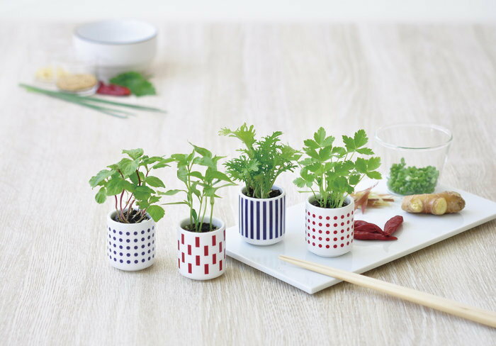 �����礳����̣���ݥ��å� �ߤ��� ���ݥ��å�