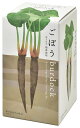 聖新陶芸 GD-89103 おうちで根菜栽培セット ごぼう 栽培セット 観葉植物 ガーデニング インテリア雑貨 ギフト 母の日 父の日 インスタ映え 推し