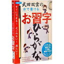 幻冬舎 499213 武田双雲の水で書けるお習字 ひらがな 対象年齢：6歳以上 知育 学習教具