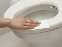 激落ちくん激落ちくん 流せる 除菌 トイレクリーナー 大判 10枚入 S00327