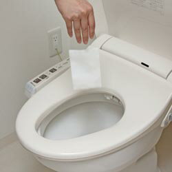 激落ちくん激落ちくん 流せる 除菌 トイレクリーナー 大判 10枚入 S00327