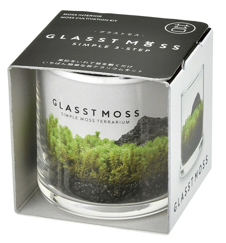 聖新陶芸 GD-933 グラストモスS GLASSTMOSS 苔テラリウム コケ 栽培セット 観葉植物 ガーデニング インテリア雑貨 ギフト インスタ映え 推し