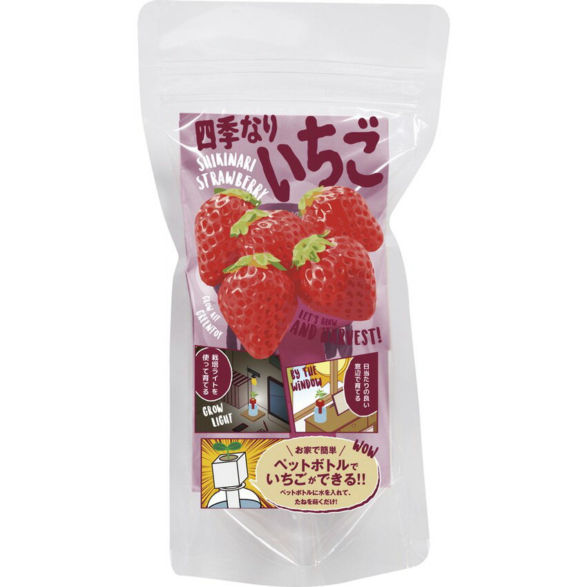 楽天スーパーSALE対象 期間数量限定 【売り尽くし特価】GREEN TOY グリーントイ 四季なりいちご イチゴ ストロベリー ペットボトルで育てる栽培セット 聖新陶芸 ガーデニング インテリア雑貨 父の日 インスタ映え 推しのサムネイル