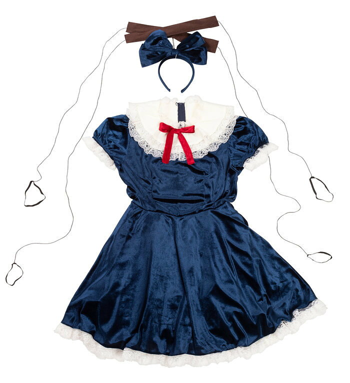 ハロウィン コスプレ HWZ ANTIQUE DOLLS エリーゼブルー レディース ハロウィン 仮装 衣装 コスチューム コスプレ