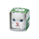 聖新陶芸 おちょこで猫草 白 GD-102901 プレゼント 栽培セットギフト