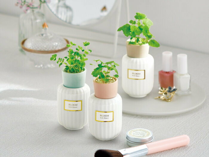 ����ƫ�� �ܥ��˥��� �ե쥰��� ����С��� GD-103002 �ץ쥼��� ���ݥ��åȥ��ե�