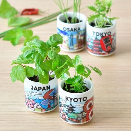 ARUNE 仮装雑貨のお店あるねの聖新陶芸 お芽でたおちょこ JAPAN 名古屋 唐辛子 GD-99706 ガーデニング 日本 栽培セット お土産 インバウンド ギフト｜アングル2