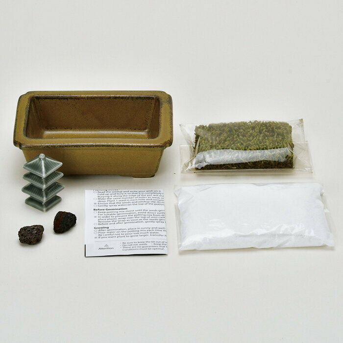 聖新陶芸 禅庭 ZEN GARDEN 三重塔 GD-104701 ギフト 栽培セット 父の日 ガーデニン...
