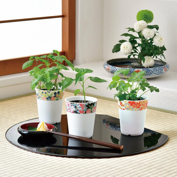 ����ƫ�� �¿���̣ �Ȥ����餷 GD-104902 ���ե� ���ݥ��å� �����ǥ˥� ����� �����