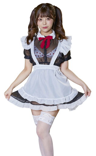 コスチューム ランジェリー SecretRose シースルーメイド ランジェリー プチプラ コスチューム ランジェリー SecretRose シースルーメイド ランジェリー プチプラ