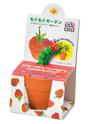 HP-0401聖新陶芸はらぺこあお...