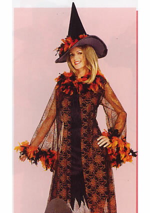 【ハロウィンコスチューム・ハロウィン用品特集】FEATHERED WITCH