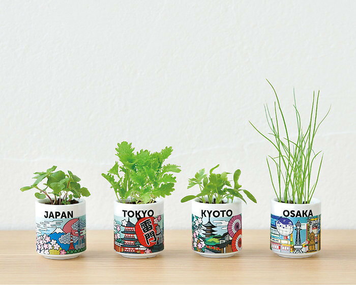 聖新陶芸 GD-99702 お芽でたおちょこ JAPAN 東京 わさび菜 景品 植物栽培セット 母...