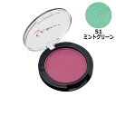 【メール便対応5個まで】三善 シャレナ ポップカラー 51 ミントグリーン ポイントカラー メイクアップ コスプレ 仮装 本格プロ仕様メイク(4)