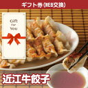 【メール便対応10個まで】【ギフト券】送料無料 近江牛餃子 47c-025-gf 返礼品 御礼 御祝 贈答品 誕生日 母の日 父の日 お中元 お歳暮の商品画像