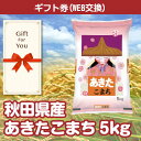 【メール便対応10個まで】【ギフト券】送料無料 秋田県産あきたこまち5kg ak05-gf 父の日 返礼品 御礼 御祝 母の日 誕生日 贈答品 お中元 お歳暮