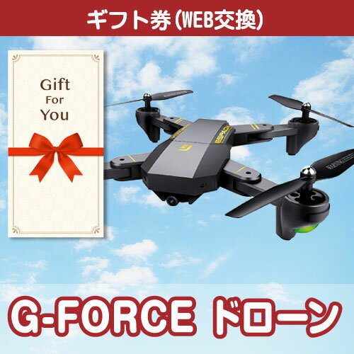 y[֑Ή10܂ŁzyMtgz G-FORCE h[ gb100-gf ̓ i a ̓ ԗi  j  Ε