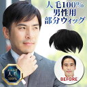 メンズ 部分ウィッグ 人毛100%メンズヘアピース 男性用 男性用部分かつら 男性用部分ウィッグ メンズウィッグ 薄毛かくし 白髪隠し 男性用薄毛カバーかつら TefuRe メンズプロフェッショナル 富士達 送料無料