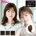 ウィッグ 人毛 部分ウィッグ 薄毛 頭頂部 つむじ 自然 ヘアピース 人毛100%白髪隠しウィッグ ロング ウイッグ ST-102 薄毛隠し カバーピース 部分手植え 軽くて自然 送料無料