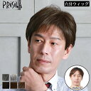 【送料無料】 男性用かつら 男性用部分かつら 六分ウィッグ 部分ウィッグ フェザーカールハーフ A-116