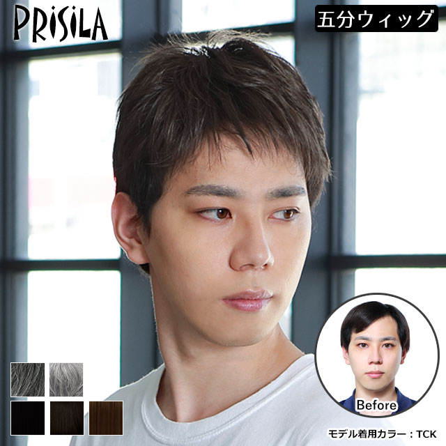 【送料無料】 男性用かつら 男性用部分かつら 男性用五分ウィッグ 部分ウィッグ レイヤーショート メンズウィッグ プリシラ GB-22
