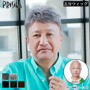 【送料無料】 白髪男性用かつら 男性用部分かつら 男性用五分ウィッグ 部分ウィッグ レイヤーショート グレイヘアー グレイカラー メンズウィッグ プリシラ GB-22