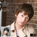 【送料無料】 メンズウィッグ プリシラマン MA-100 スタイリッシュショート 男性用かつら 日本製耐熱ファイバー メンズウイッグ