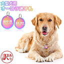 【訳あり アウトレット】 ワンコイン 迷子札 オーロラ 2サイズ ペット レインボー 虹色 オイルスリック 犬 猫 わんちゃん リング2個付 サークル型 IDタ...