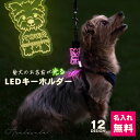 名入れ迷子札 キーホルダー 迷子札 光る LED ペット 犬 リード 首輪 おしゃれ ライト お散歩 光る かわいい ネームプレート 名札 ledog 名入れ 刻印 ギフト プレゼント アクリル かばん リュック デザイン メール便発送 ゆうパケット2