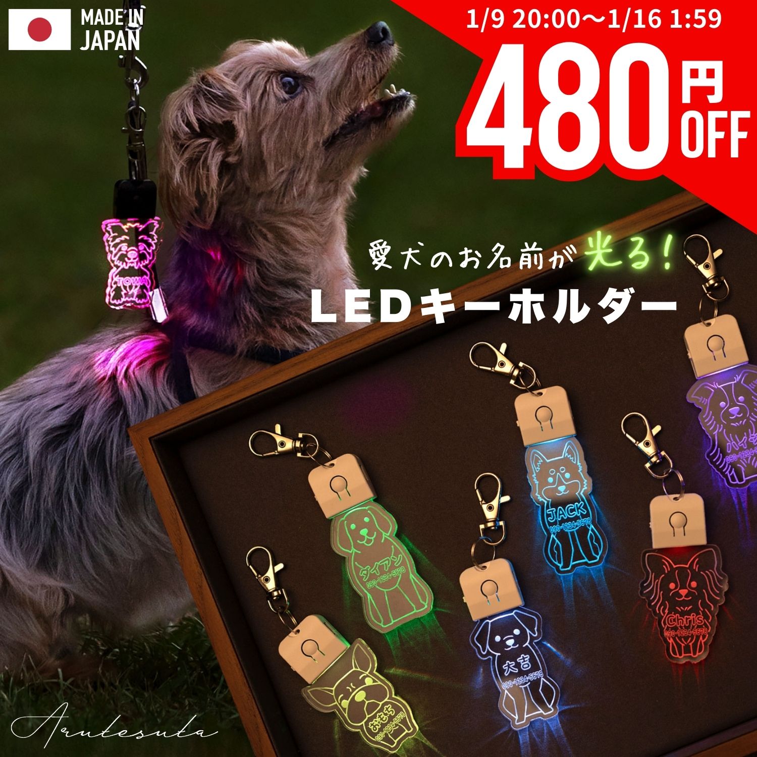 【数量限定480円オフ！1/9 20時～】キーホルダー 迷子札 光る LED USB充電 ペット 犬 リード 首輪 ペンダント おしゃれ ライト お散歩 かわいい ネームプレート 名札 ledog 名入れ 刻印 ギフト プレゼント アクリル かばん リュック デザイン ゆうパケット2