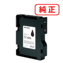 GC41K ubN y2{ZbgzSGJ[gbW 515807 RICOH R[ CNJ[gbW yE ͂sz