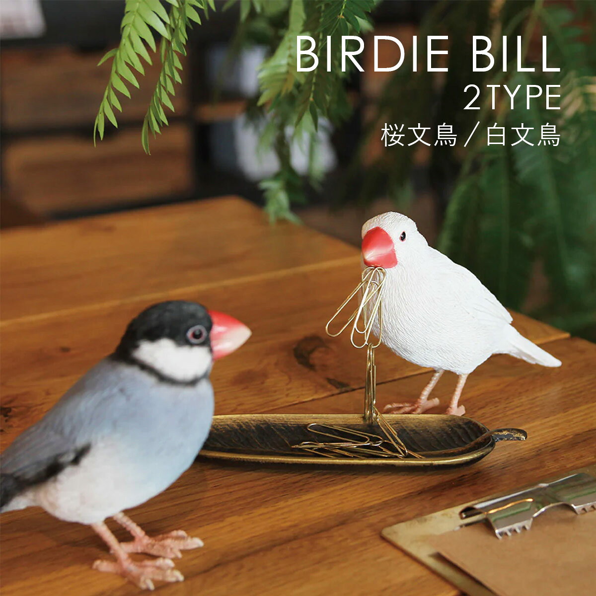 Rakuten - BIRDIE BILL バーディ ビル JAVA SPARROW 文鳥 | 小鳥 / オブジェ / 置物 / 磁石 / クリップホルダー / デスク / 癒し / インテリア / ギフト / magnet / マグネット【沖縄・離島 お届け不可】