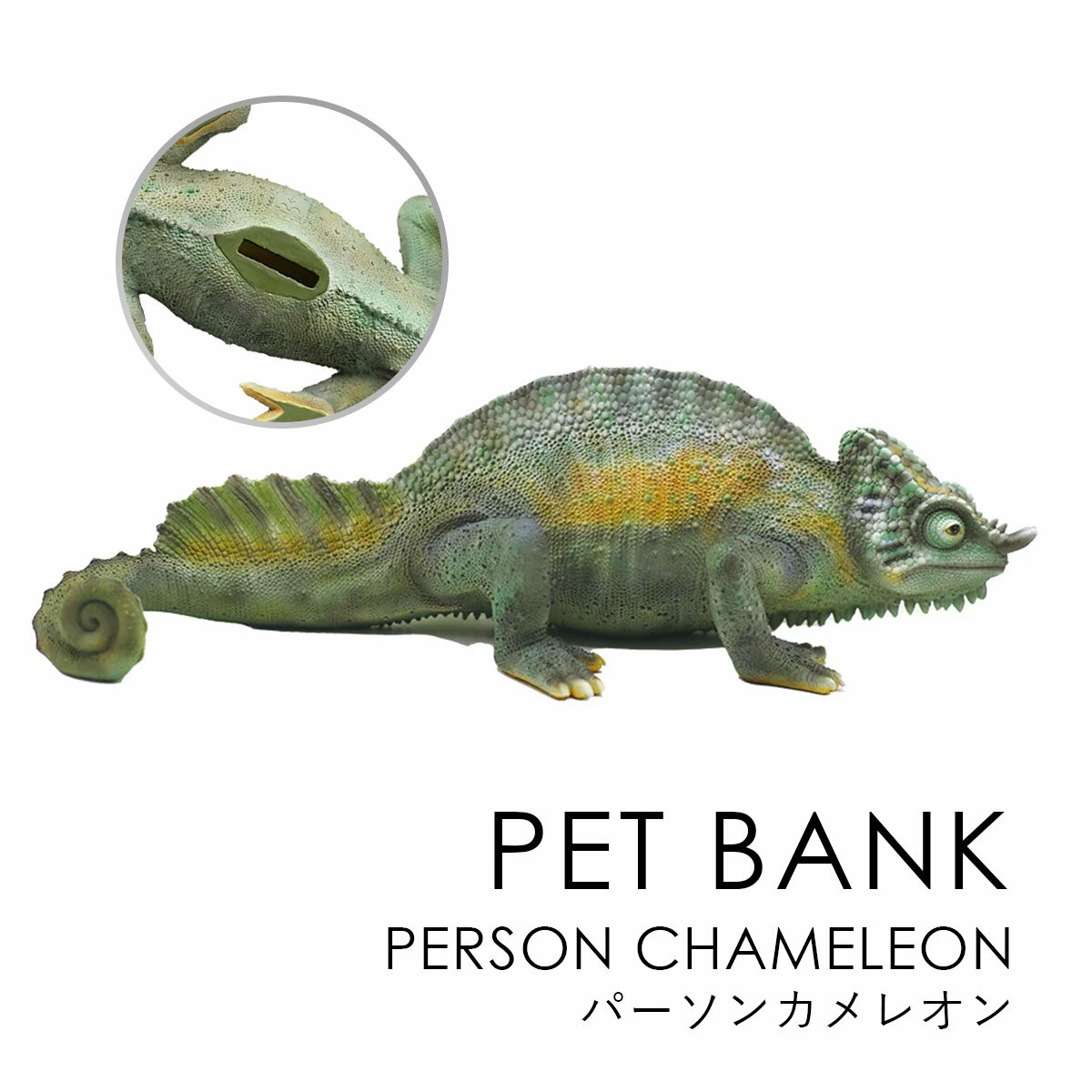 PET BANK ペットバンク PERSON CHAMELEON パーソンカメレオン | カメレオン / 貯金箱 / オブジェ / 置物 / 癒し / インテリア / ギフト / magnet / マグネット【沖縄・離島 お届け不可】