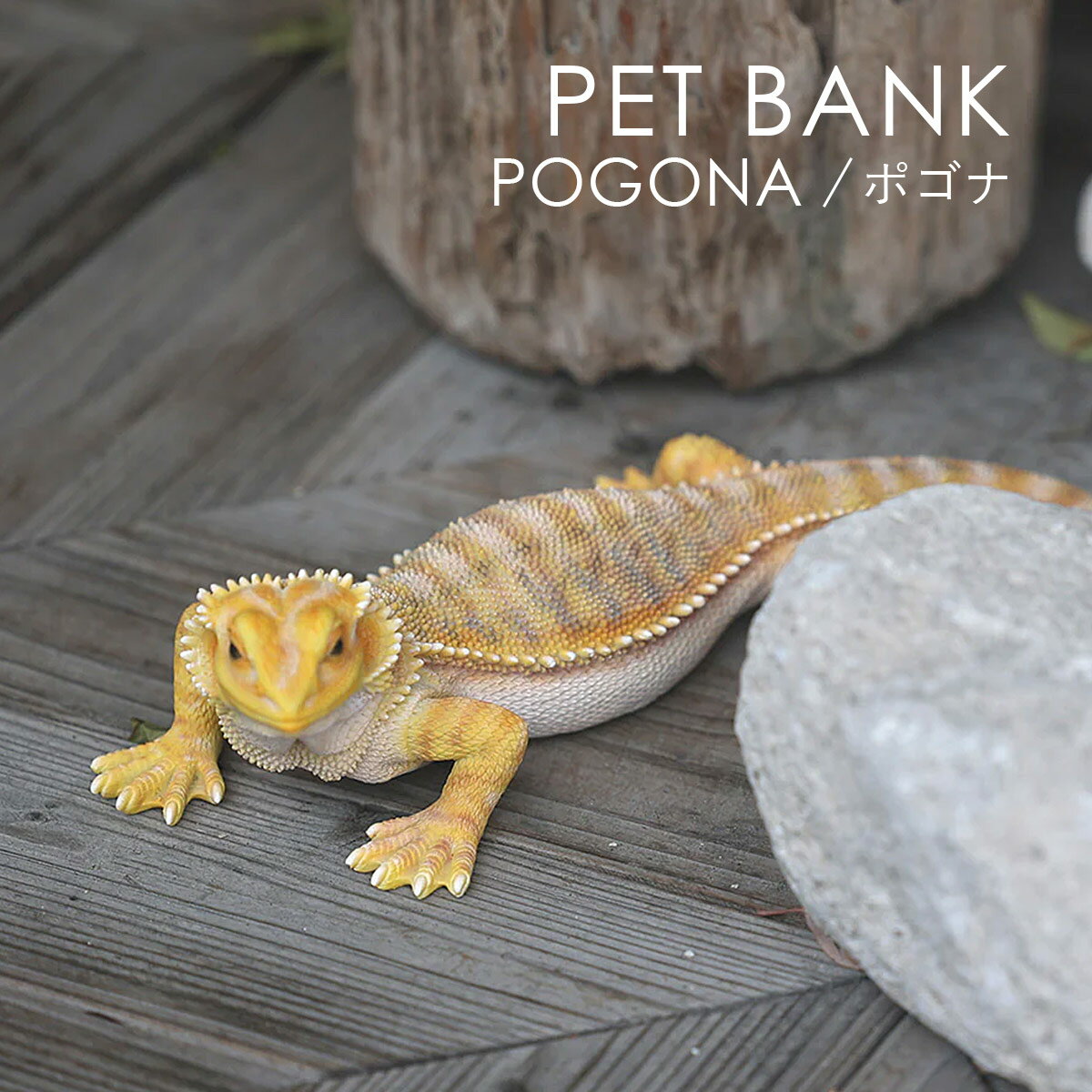 PET BANK ペットバンク POGONA ポゴナ フトアゴヒゲトカゲ / 貯金箱 / オブジェ / 置物 / 癒し / インテリア / ギフト / magnet / マグネット【沖縄 離島 お届け不可】
