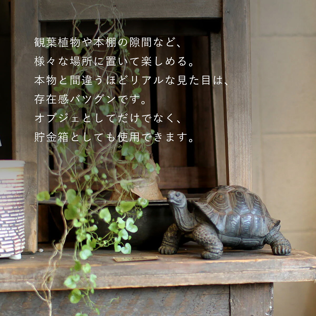 PET BANK ペットバンク TORTOISE トータス | リクガメ / 亀 / 貯金箱 / オブジェ / 置物 / 癒し / インテリア / ギフト / magnet / マグネット【沖縄・離島 お届け不可】 [3]