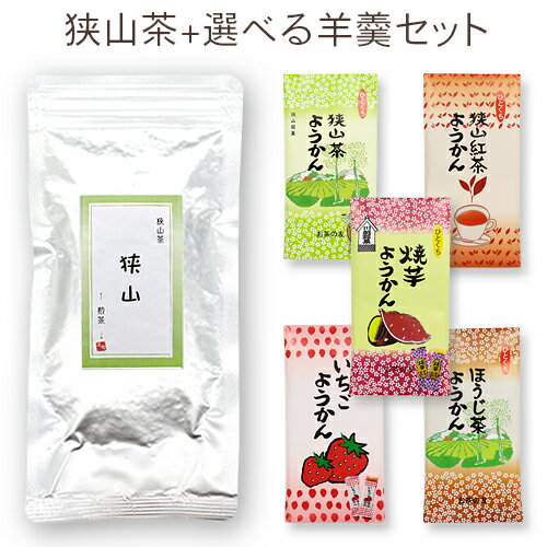 狭山 ～煎茶～（100g）+羊かん / 埼玉県産 / 狭山茶 / 日本茶 / 緑茶 / グリーンティー / 保存用チャック付き / ようかん / 羊羹 / セット商品