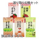 狭山茶ようかん 緑茶 / ほうじ茶 / 紅茶 / 焼いも / いちご の中から選べる4セット 8個入/袋個包装 / 羊かん / 無添加 / おやつ / 和菓子 / お茶請け