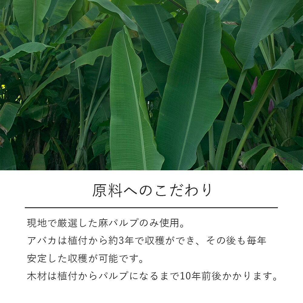 100枚入 大直 麻紙 未晒 A4 コピー プリンター用紙 レーザープリンター・インクジェットプリンター対応 みざらし 和紙 あ aruto-10025623 歩人 web店 サンプル画像3