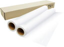 【2本セット】インクジェットロール紙 バックライトフィルム 幅1118mm(B0ノビ)×長さ30m 厚0.22mm プロッター用紙 大判ロール紙 大判インクジェ...