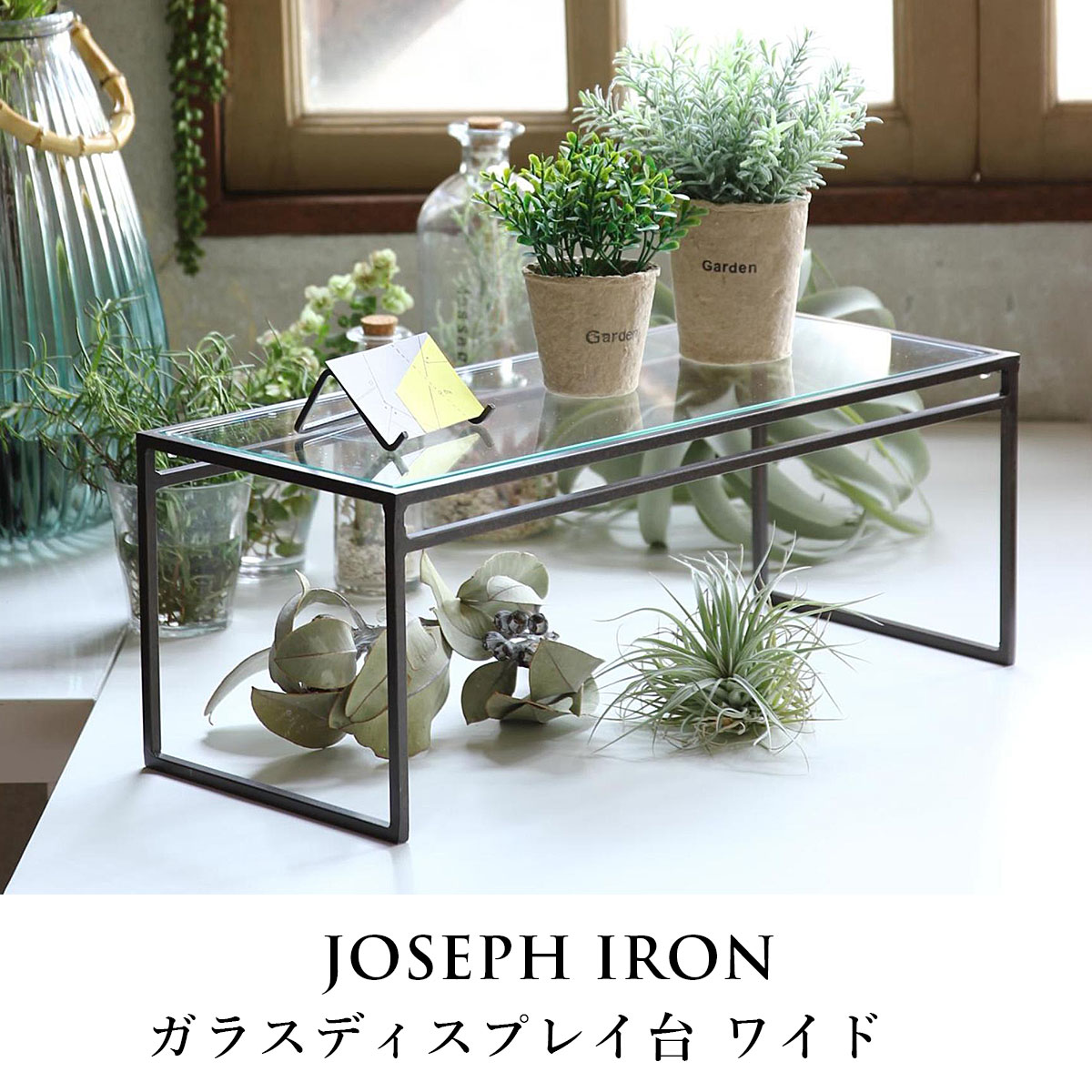 Joseph Iron ジョセフアイアン ガラスディスプレイ台 ワイド | ディスプレイ / アンティーク調 / インダストリアル / シャビ— / インテリア / 鉄 / 店舗 / 什器 / 展示 / SOW / ソウ【沖縄・離島 お届け不可】