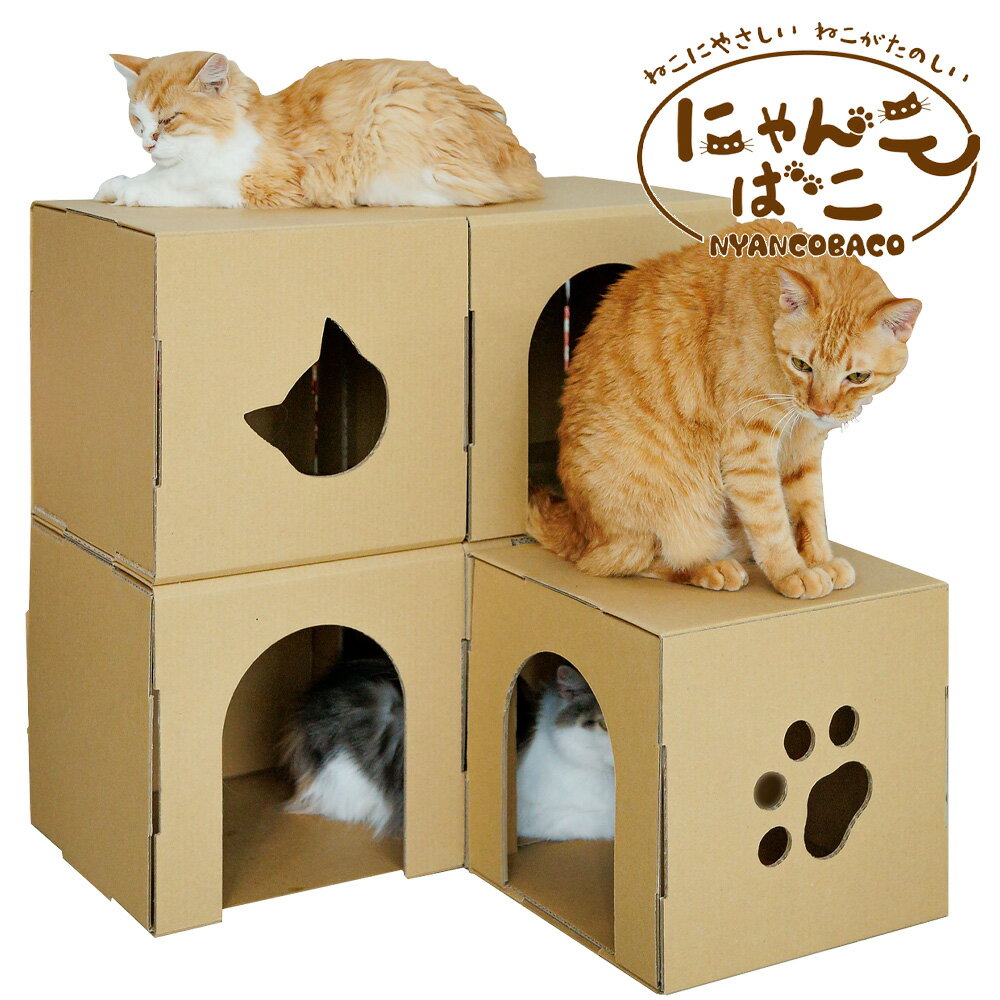 猫 キャットタワー キャットウォーク キャットハウス 段ボール 組み立て簡単 猫ハウスにゃんこばこ（よこ3マスタイプ）