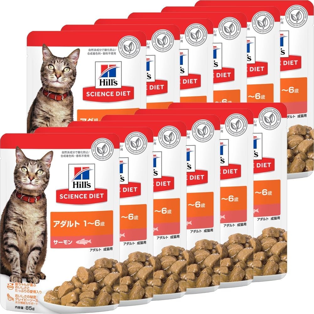 12ĥåȡܥҥ륺ۥ󥹥åȥ16ǭѥѥ85g12(052742064987)