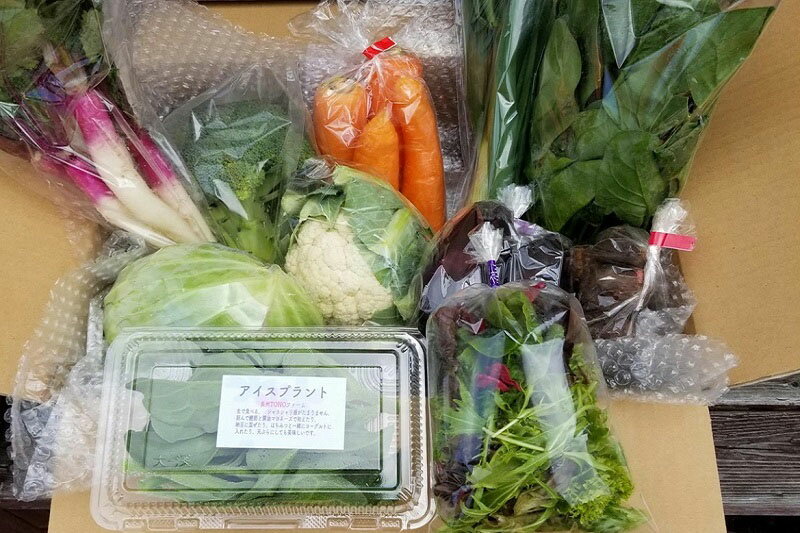 ボリューム大満点!新鮮な旬の野菜セット 10種類以上のお野菜詰め合わせ