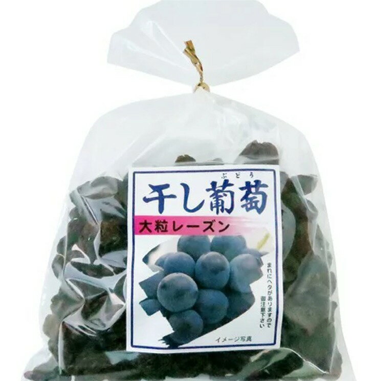 干し葡萄 大粒レーズン 370g