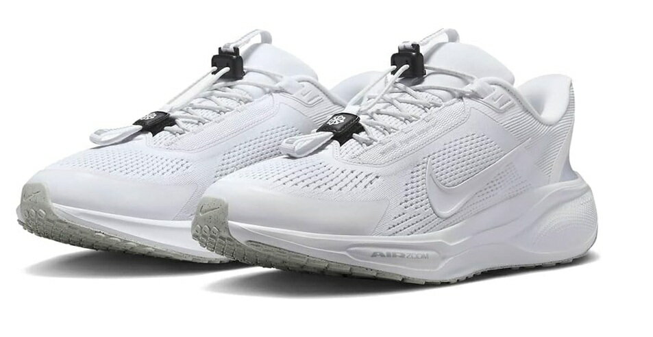 NIKE PEGASUS EASY ON ナイキ ペガサス イージーオンのサムネイル