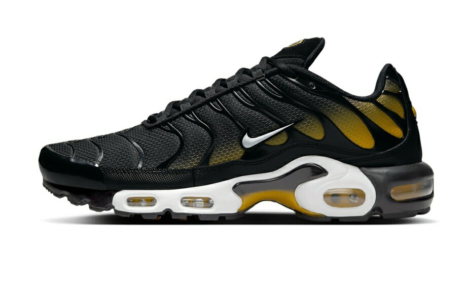 NIKE AIR MAX PLUS ナイキ エア マックス プラス