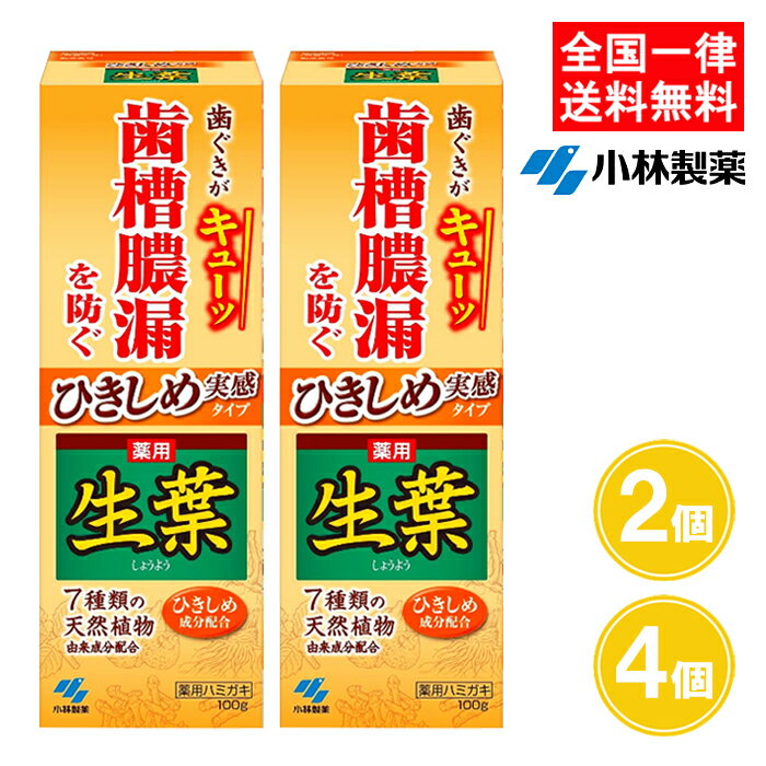 生葉 ひきしめ生葉 100g 2個 4個 ひきしめ実感 薬用ハミガキ 歯槽膿漏 歯みがき粉 医薬部外品 小林製薬のサムネイル