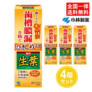 生葉 ひきしめ生葉 100g 4個セット ひきしめ実感 薬用ハミガキ 歯槽膿漏 歯みがき粉 医薬部外品 小林製薬