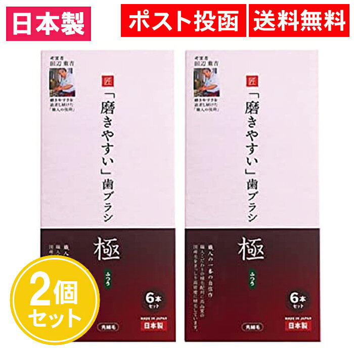 「磨きやすい」 歯ブラシ 極 6本入 2個セット 日本製 は